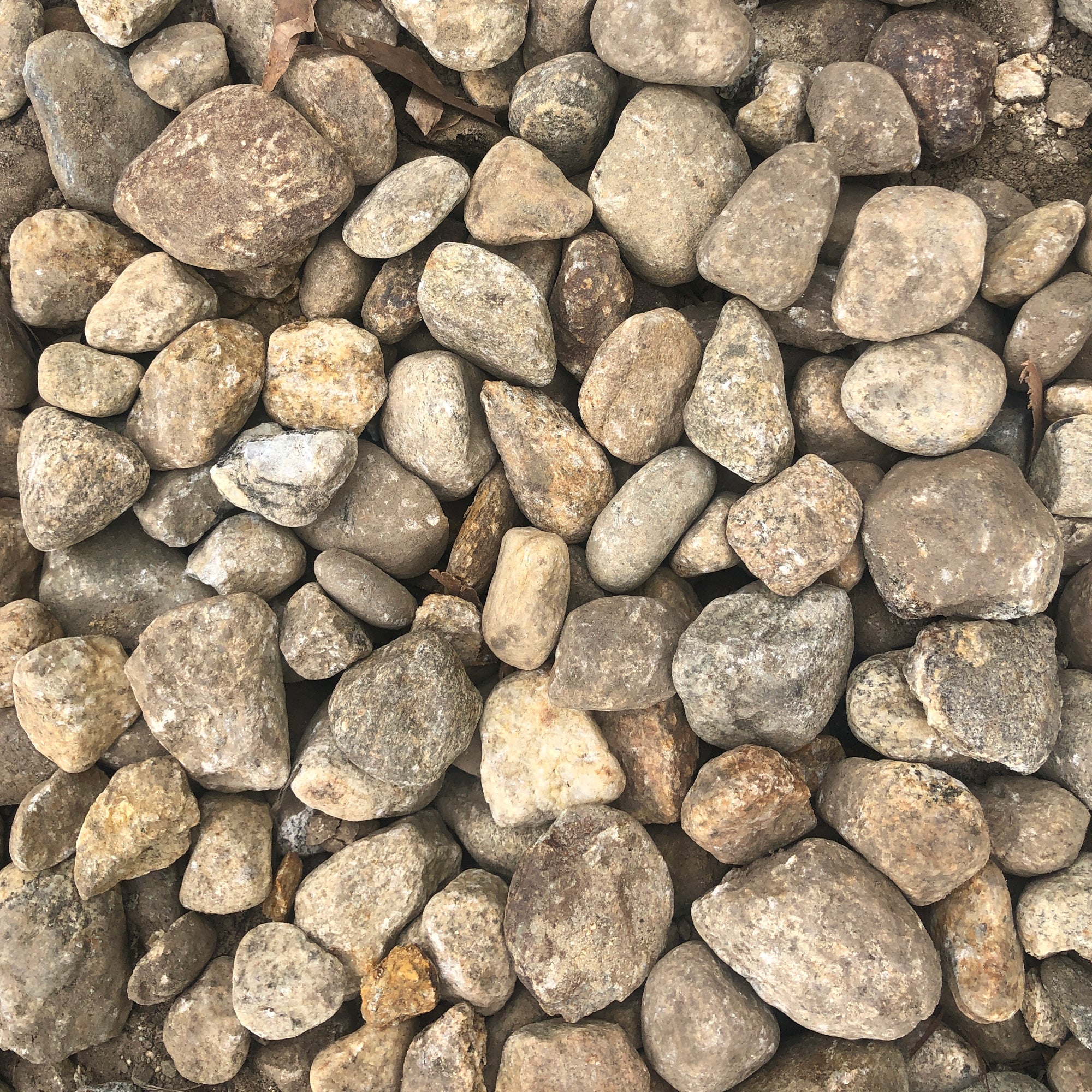 1 1/2″ Multi Tan Round Stone