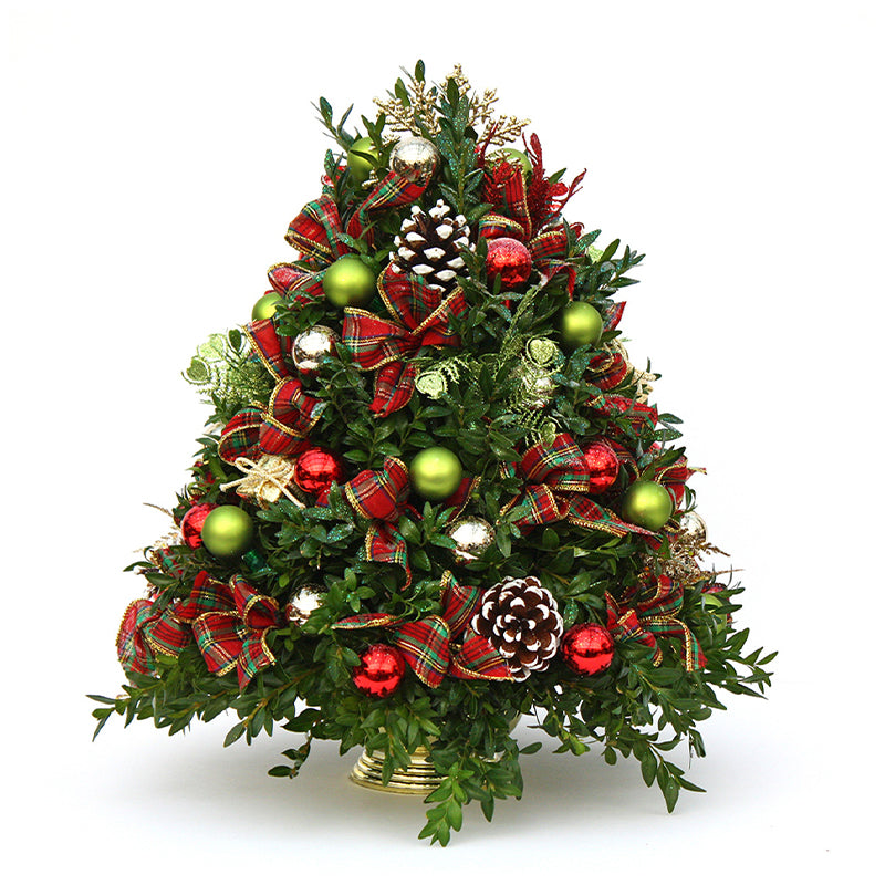 Boxwood Tree Workshop