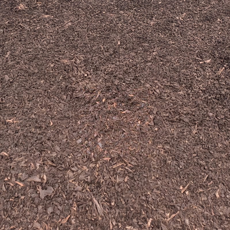 Dark Bark Aged Hemlock